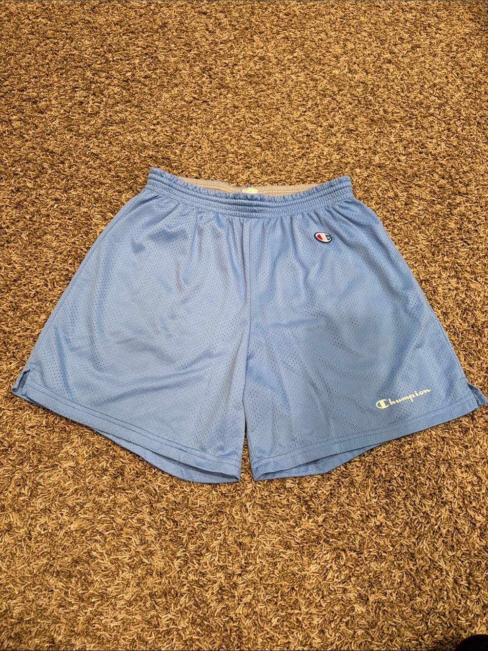Champion Athletic Shorts, Baby Blue🩵